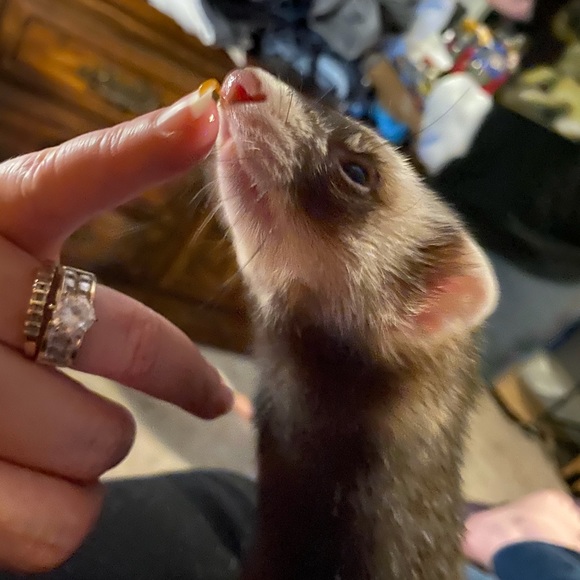 Meet your Posher, Pamela - Picture 10 of 16